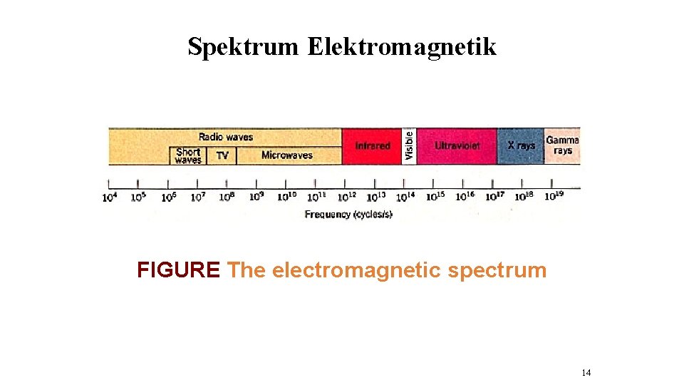Spektrum Elektromagnetik FIGURE The electromagnetic spectrum 14 Spektrum Elektromagnetik FIGURE The electromagnetic spectrum 14