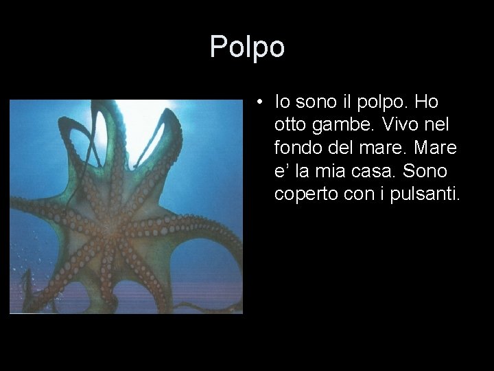 Polpo • Io sono il polpo. Ho otto gambe. Vivo nel fondo del mare.