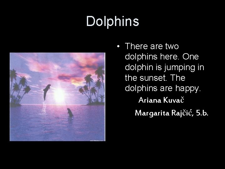 Dolphins • There are two dolphins here. One dolphin is jumping in the sunset.