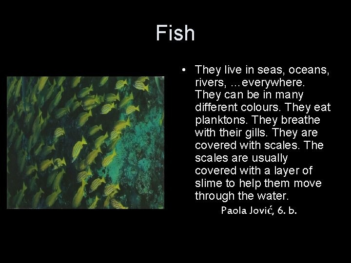 Fish • They live in seas, oceans, rivers, …everywhere. They can be in many