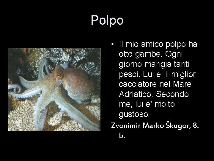 Polpo • Il mio amico polpo ha otto gambe. Ogni giorno mangia tanti pesci.