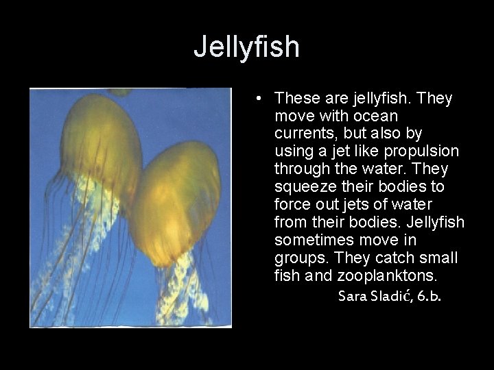 Jellyfish • These are jellyfish. They move with ocean currents, but also by using