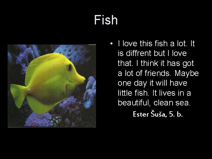Fish • I love this fish a lot. It is diffrent but I love