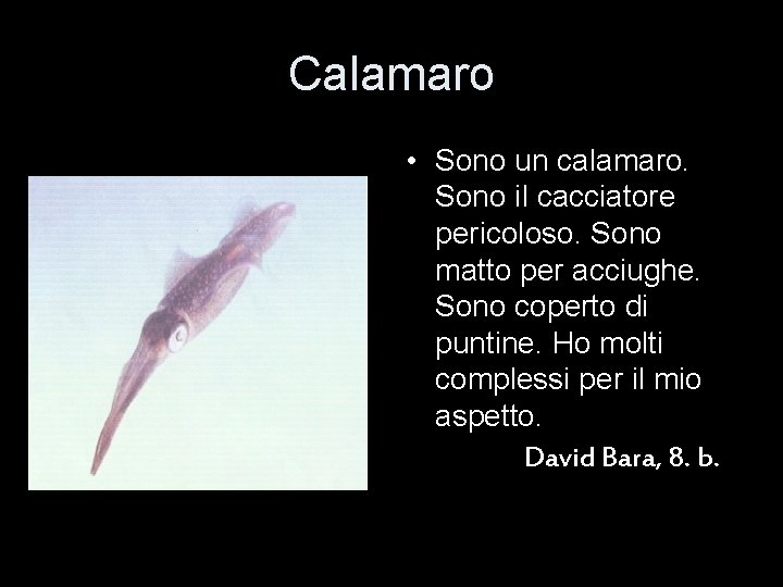 Calamaro • Sono un calamaro. Sono il cacciatore pericoloso. Sono matto per acciughe. Sono