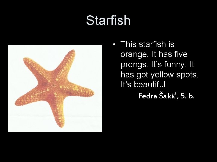 Starfish • This starfish is orange. It has five prongs. It’s funny. It has