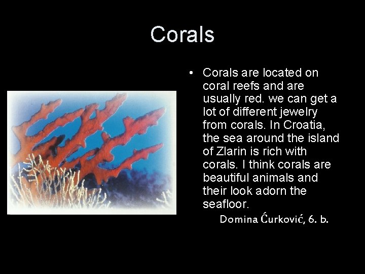 Corals • Corals are located on coral reefs and are usually red. we can