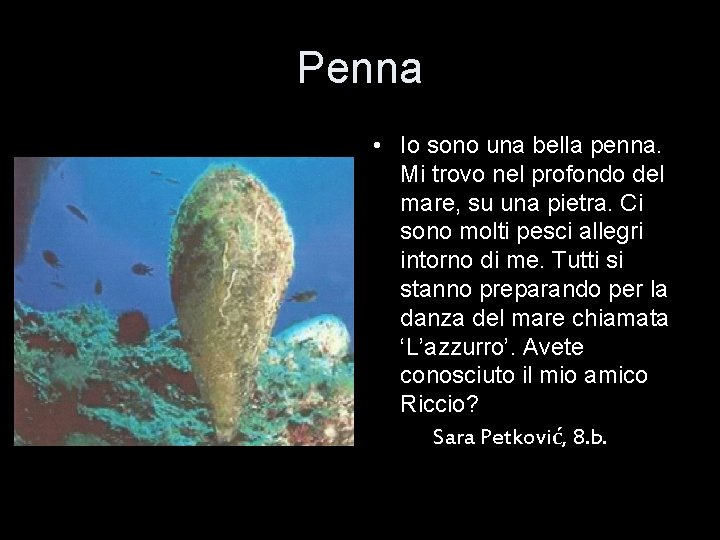 Penna • Io sono una bella penna. Mi trovo nel profondo del mare, su