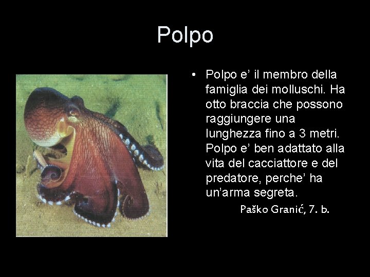 Polpo • Polpo e’ il membro della famiglia dei molluschi. Ha otto braccia che
