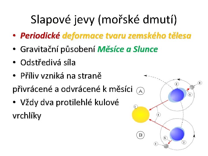 Slapové jevy (mořské dmutí) • Periodické deformace tvaru zemského tělesa • Gravitační působení Měsíce