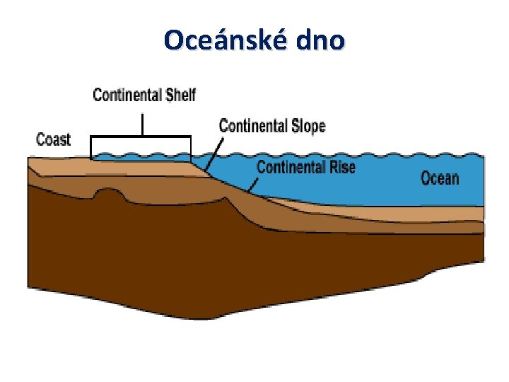 Oceánské dno 