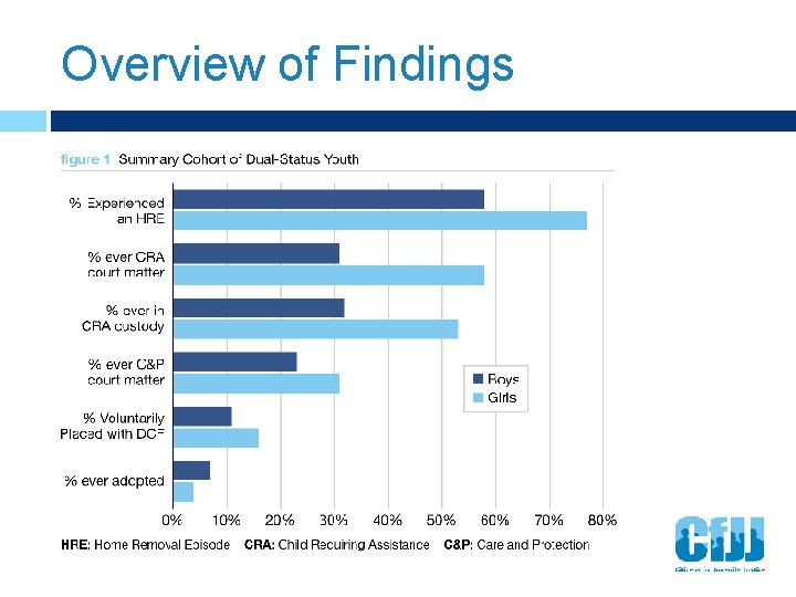 Overview of Findings 