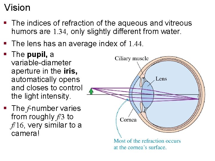 Vision § The indices of refraction of the aqueous and vitreous humors are 1.