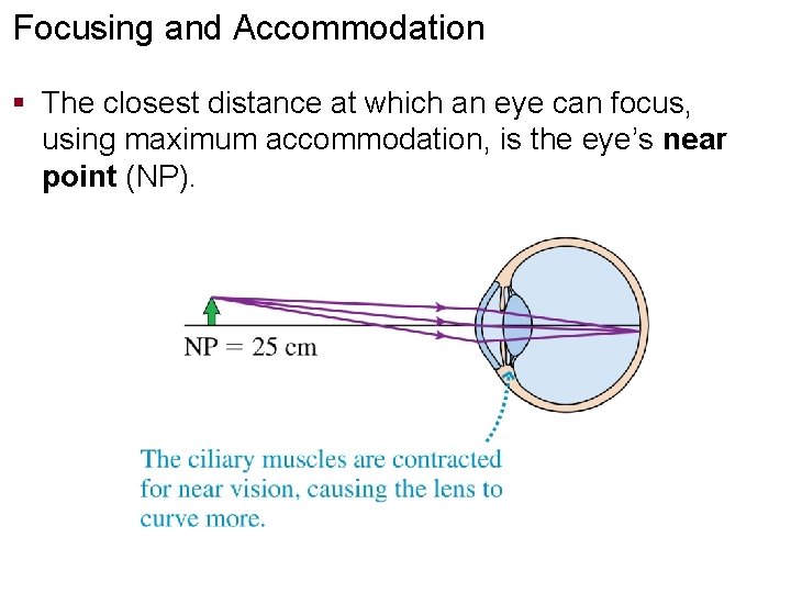 Focusing and Accommodation § The closest distance at which an eye can focus, using