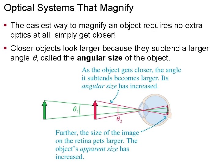 Optical Systems That Magnify § The easiest way to magnify an object requires no