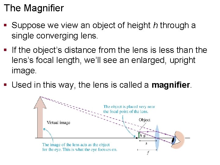 The Magnifier § Suppose we view an object of height h through a single