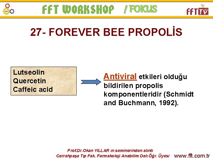 / FOKUS 27 - FOREVER BEE PROPOLİS Lutseolin Quercetin Caffeic acid Antiviral etkileri olduğu