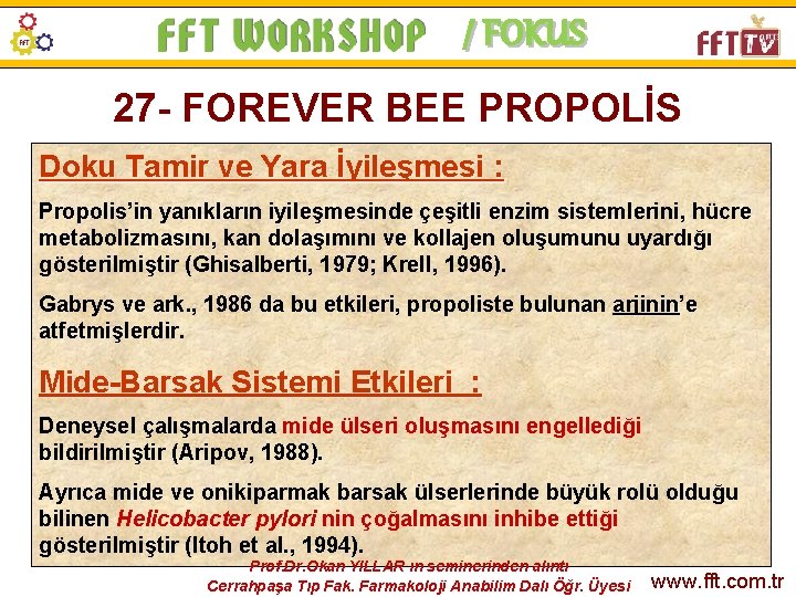 / FOKUS 27 - FOREVER BEE PROPOLİS Doku Tamir ve Yara İyileşmesi : Propolis’in