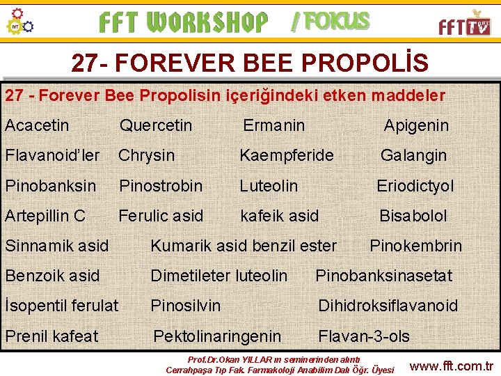 / FOKUS 27 - FOREVER BEE PROPOLİS 27 - Forever Bee Propolisin içeriğindeki etken