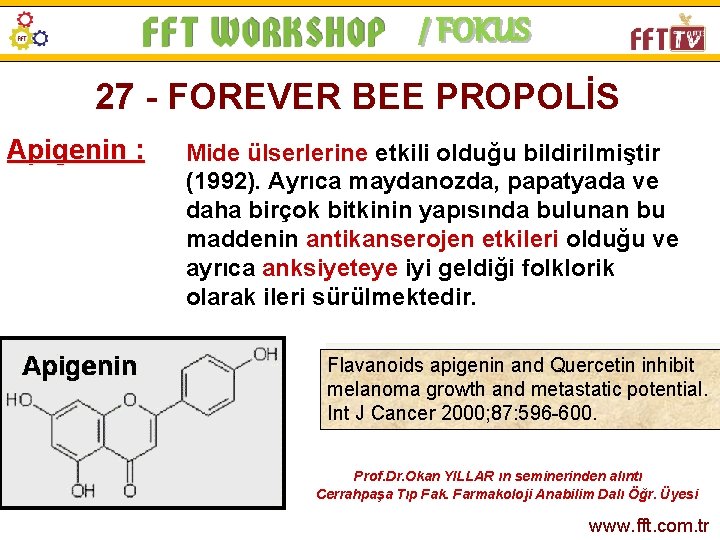 / FOKUS 27 - FOREVER BEE PROPOLİS Apigenin : Mide ülserlerine etkili olduğu bildirilmiştir