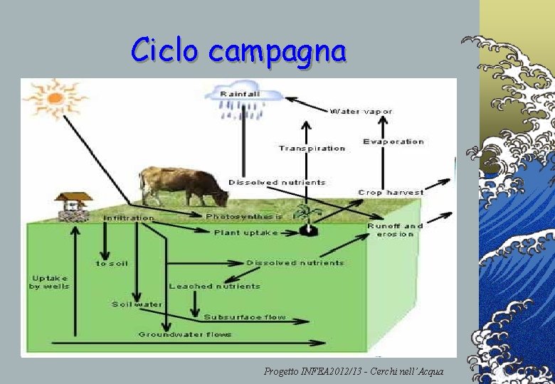 Ciclo campagna Progetto INFEA 2012/13 - Cerchi nell’Acqua 