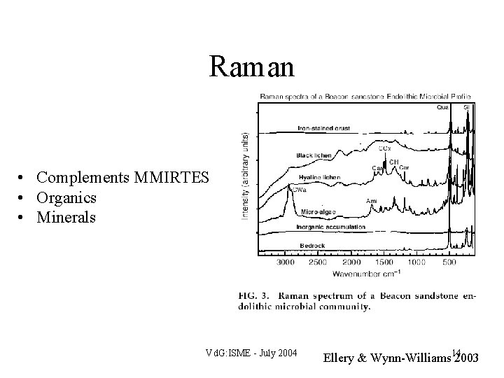 Raman • Complements MMIRTES • Organics • Minerals Vd. G: ISME - July 2004