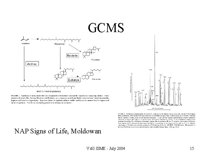 GCMS NAP Signs of Life, Moldowan Vd. G: ISME - July 2004 15 