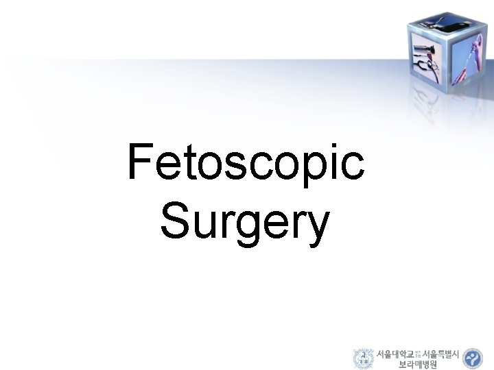 Fetoscopic Surgery 