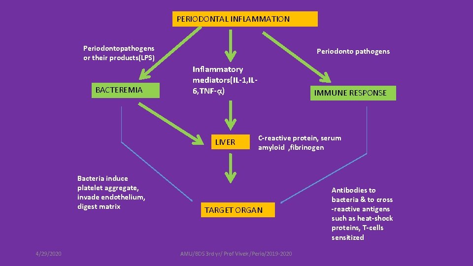 PERIODONTAL INFLAMMATION Periodontopathogens or their products(LPS) BACTEREMIA Periodonto pathogens Inflammatory mediators(IL-1, IL 6, TNF-ᾳ)