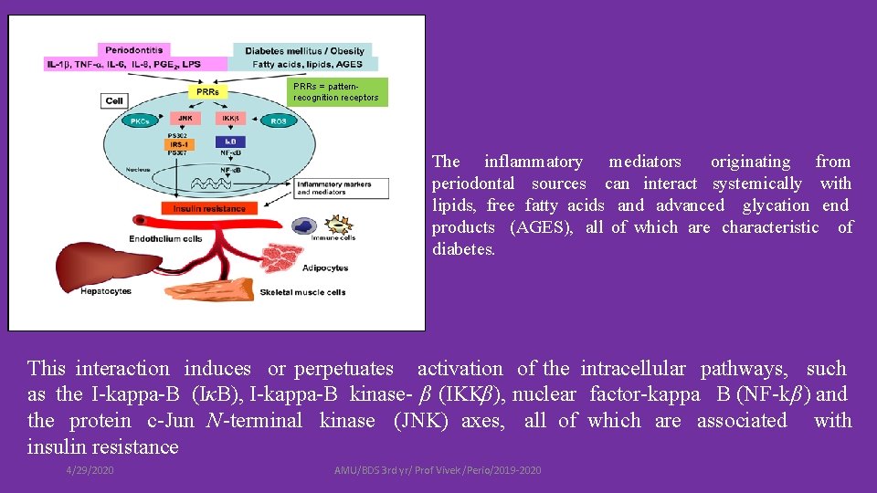 PRRs = patternrecognition receptors The inflammatory mediators originating from periodontal sources can interact systemically