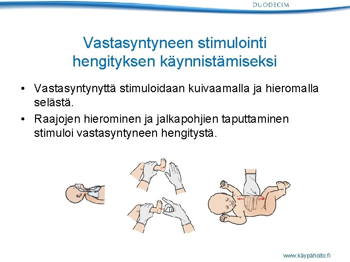 Vastasyntyneen stimulointi hengityksen käynnistämiseksi • Vastasyntynyttä stimuloidaan kuivaamalla ja hieromalla selästä. • Raajojen hierominen