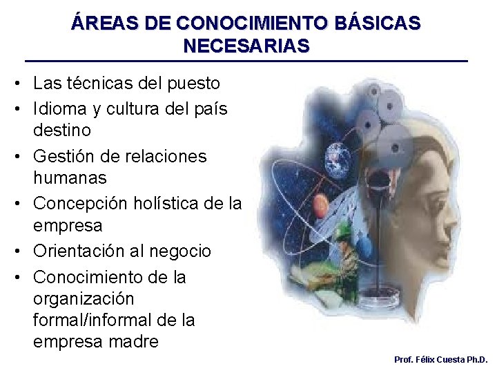 ÁREAS DE CONOCIMIENTO BÁSICAS NECESARIAS • Las técnicas del puesto • Idioma y cultura