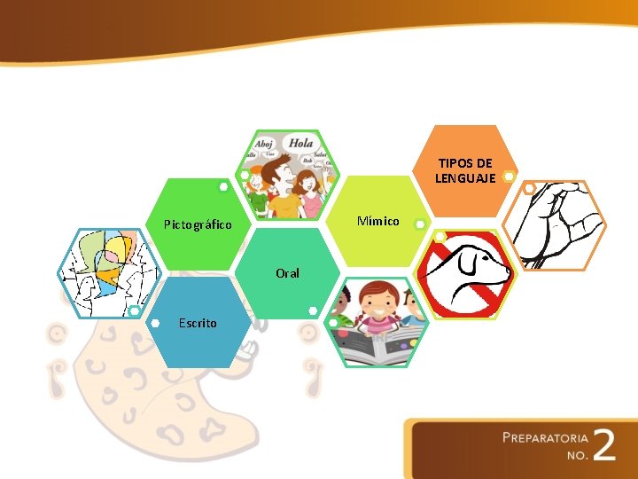  TIPOS DE LENGUAJE Mímico Pictográfico Oral Escrito 