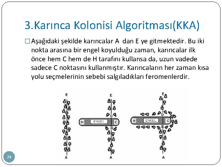 3. Karınca Kolonisi Algoritması(KKA) � Aşağıdaki şekilde karıncalar A dan E ye gitmektedir. Bu