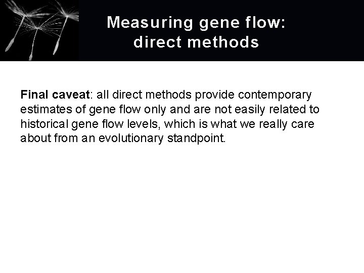 Measuring gene flow: d irect methods Final caveat: all direct methods provide contemporary estimates