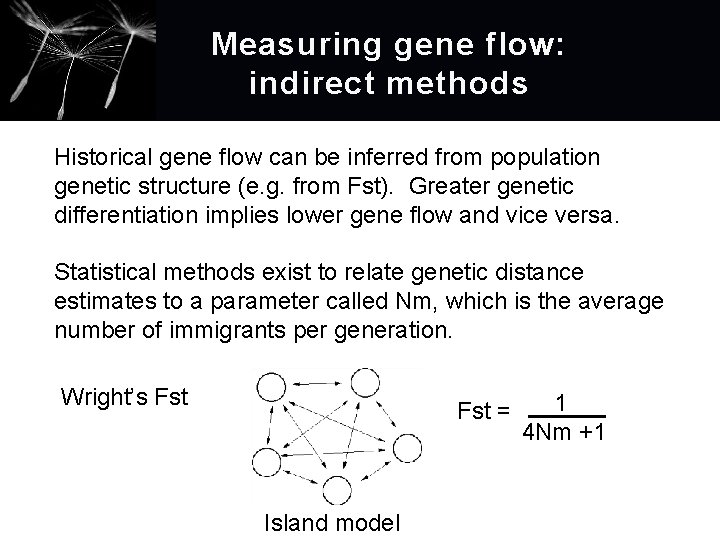 Measuring gene flow: i ndirect methods Historical gene flow can be inferred from population