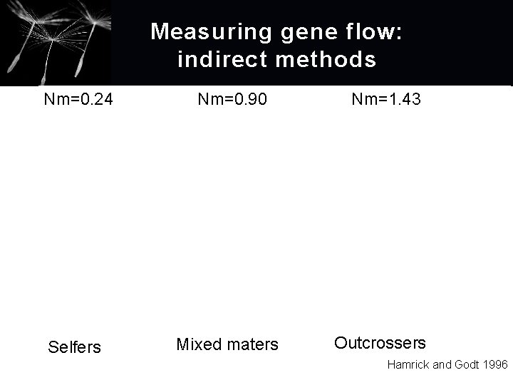 Measuring gene flow: i ndirect methods Nm=0. 24 Nm=0. 90 Selfers Mixed maters Nm=1.