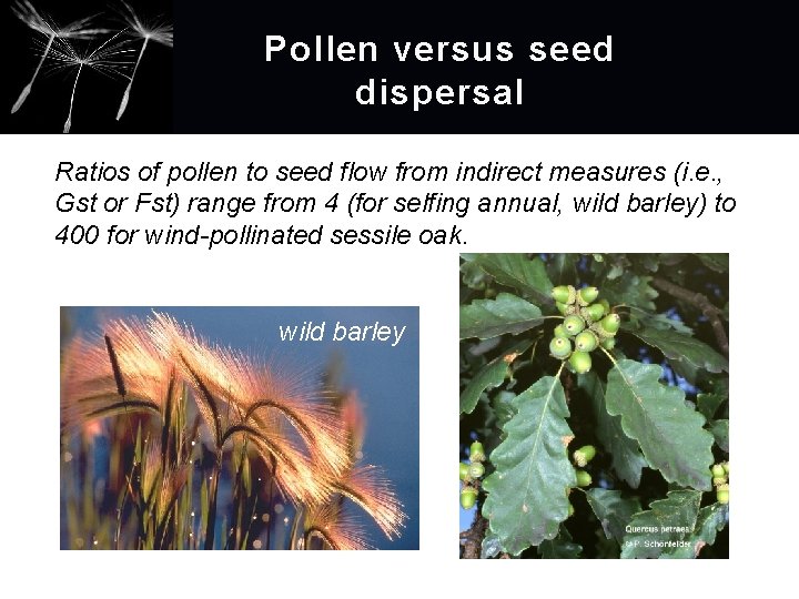 Pollen versus seed dispersal Ratios of pollen to seed flow from indirect measures (i.