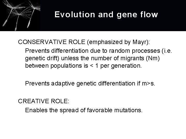 Evolution and gene flow CONSERVATIVE ROLE (emphasized by Mayr): Prevents differentiation due to random