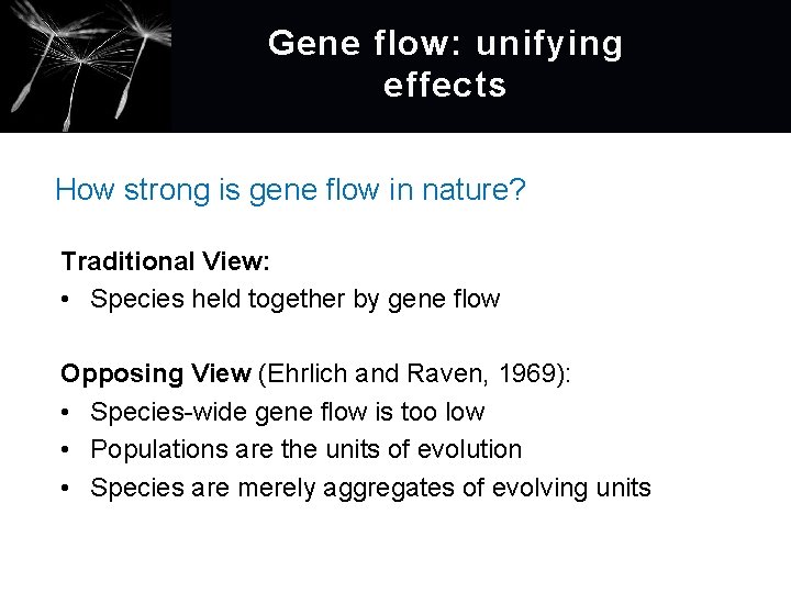 Gene flow: unifying effects How strong is gene flow in nature? Traditional View: •