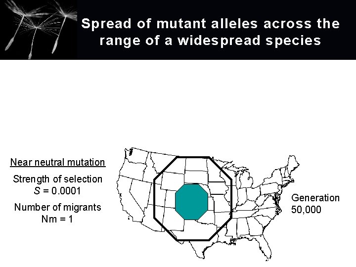 Spread of mutant alleles across the range of a widespread species Near neutral mutation