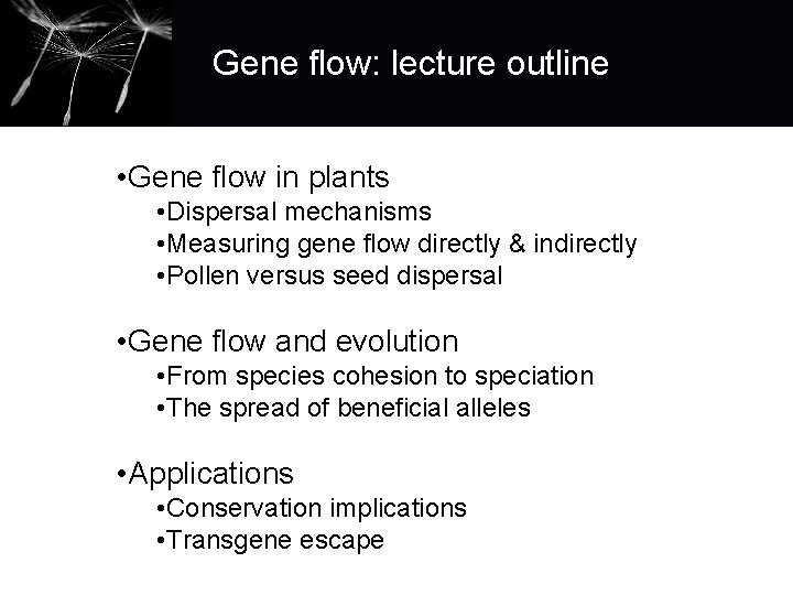 Gene flow: lecture outline • Gene flow in plants • Dispersal mechanisms • Measuring