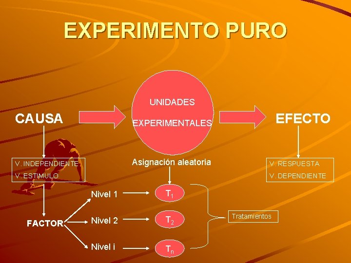 EXPERIMENTO PURO UNIDADES CAUSA EXPERIMENTALES V. INDEPENDIENTE Asignación aleatoria V. ESTIMULO FACTOR EFECTO V.