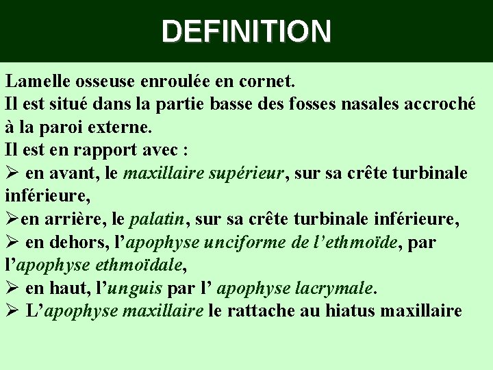 DEFINITION Lamelle osseuse enroulée en cornet. Il est situé dans la partie basse des