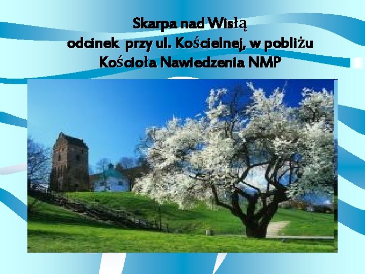 Skarpa nad Wisłą odcinek przy ul. Kościelnej, w pobliżu Kościoła Nawiedzenia NMP 