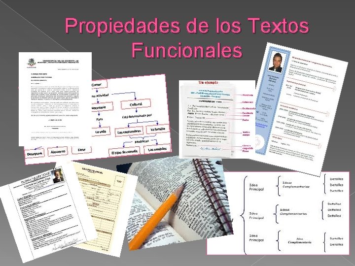 Propiedades de los Textos Funcionales Propiedades de los Textos Funcionales