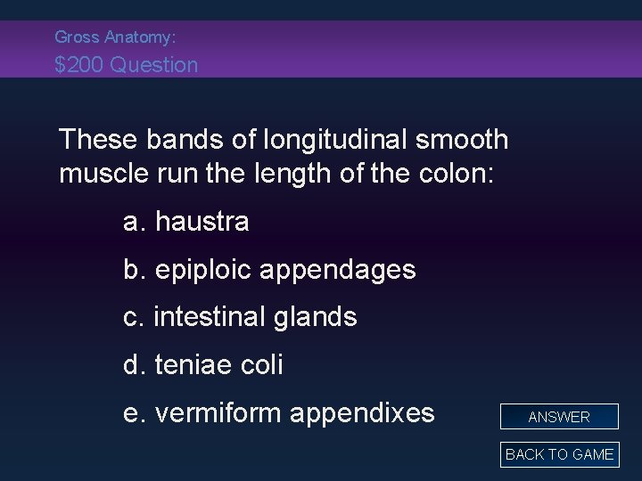 Gross Anatomy: $200 Question These bands of longitudinal smooth muscle run the length of