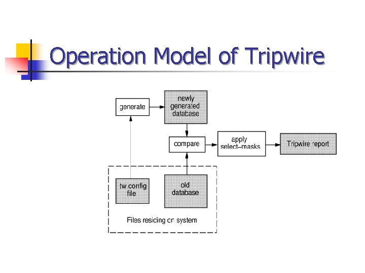 Operation Model of Tripwire 