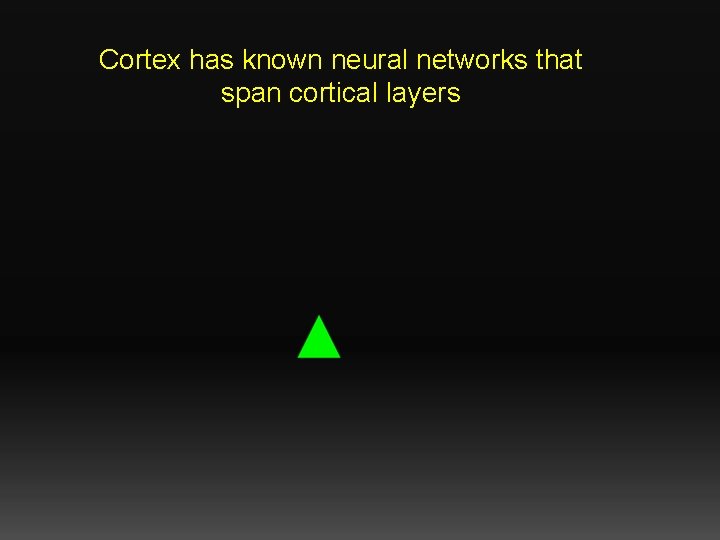 Cortex has known neural networks that span cortical layers 