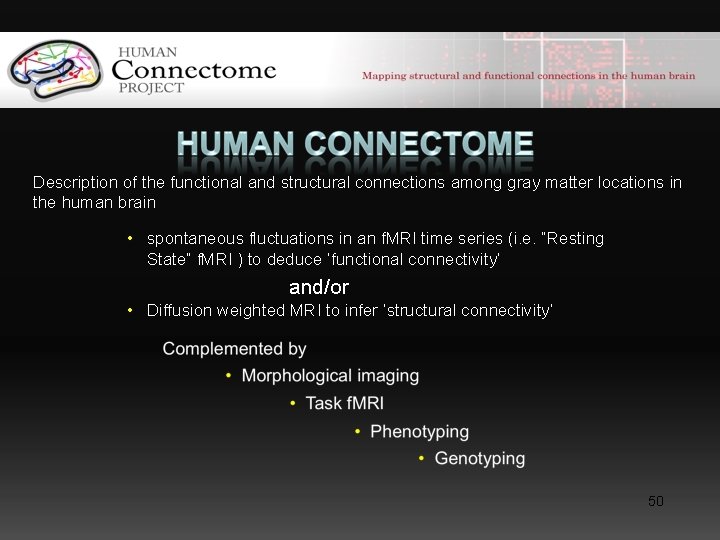 Description of the functional and structural connections among gray matter locations in the human