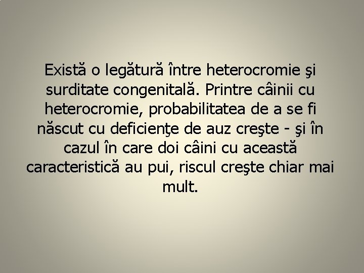 Există o legătură între heterocromie şi surditate congenitală. Printre câinii cu heterocromie, probabilitatea de